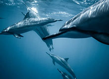 九游体育-日本球迷谈对阵国足U23：我们计划没变，冠军是日本